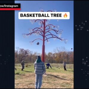 Slo-mo dunks, a skeleton drives a car & shooting from a basketball tree | NBA Crosscourt