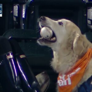 This adorable dog retrieves Francisco Lindor's home run ball | MLB on ESPN