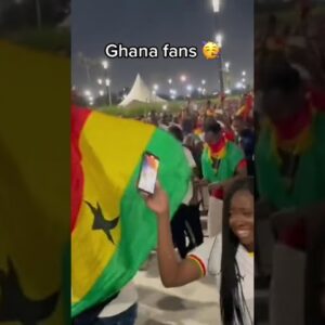 Ghana fans are LOVING life 🇬🇭 (via Scott_Geelan/Twitter)