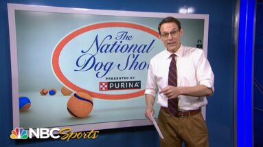 National Dog Show breed fun facts with Steve Kornacki | NBC Sports